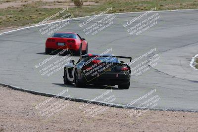 media/Mar-04-2023-West Coast Racing (Sat) [[a3f8e4c156]]/Green/Back Shots/